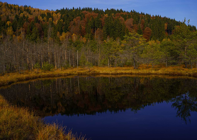 Autumn reflection