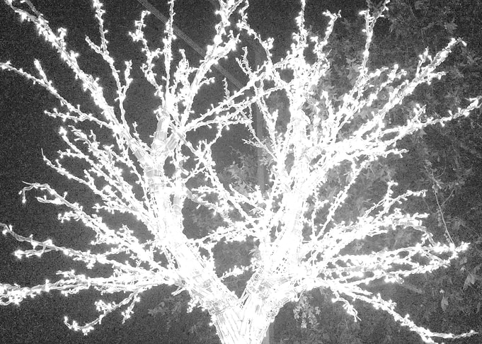 tree light