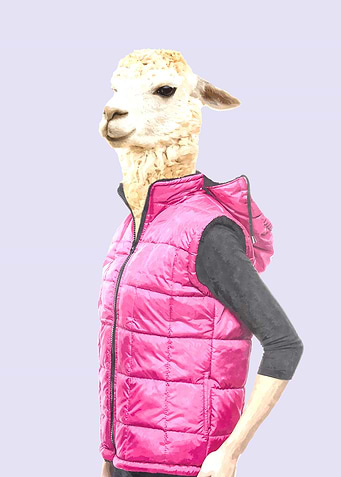 Fashionable Llama