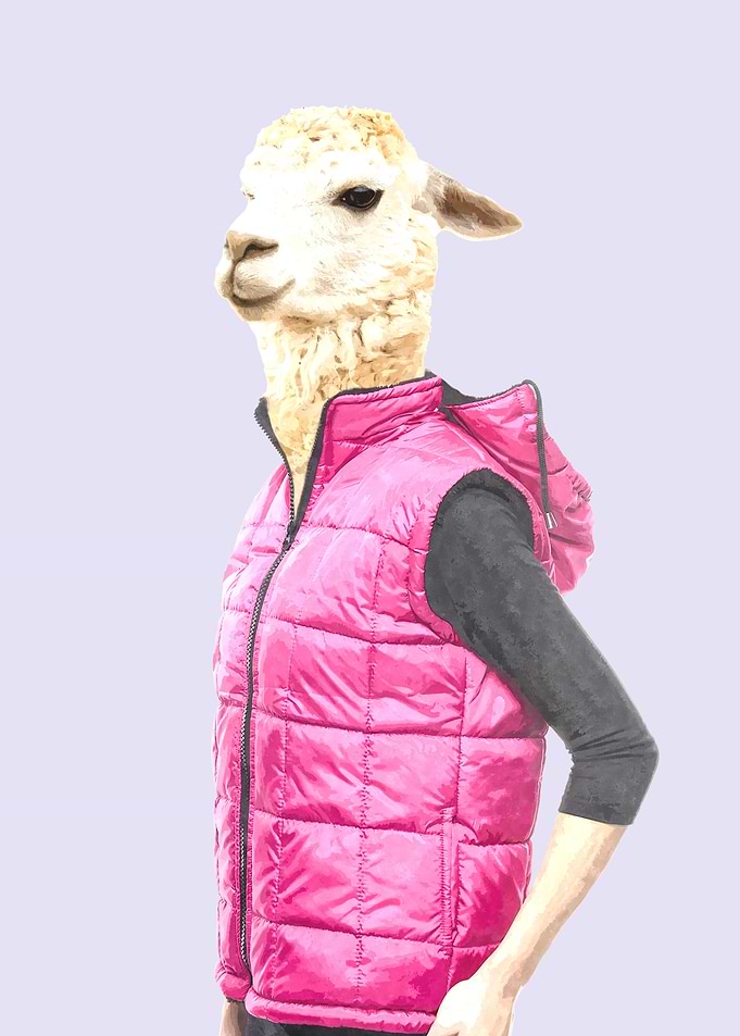 Fashionable Llama