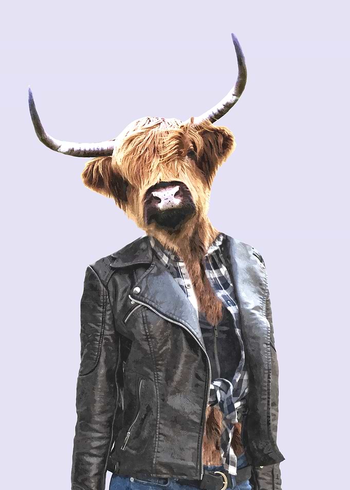 Cow Girl