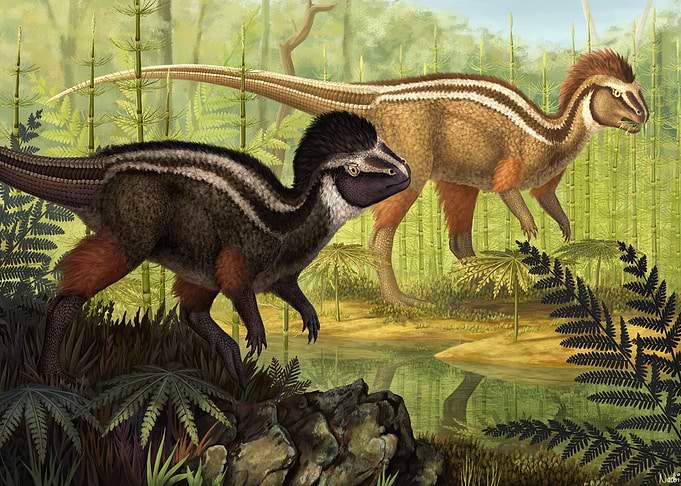 Kulindadromeus zabaikalicu
