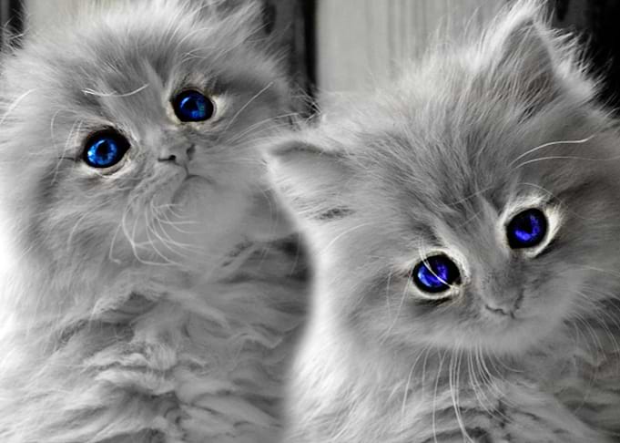 Blue eyes