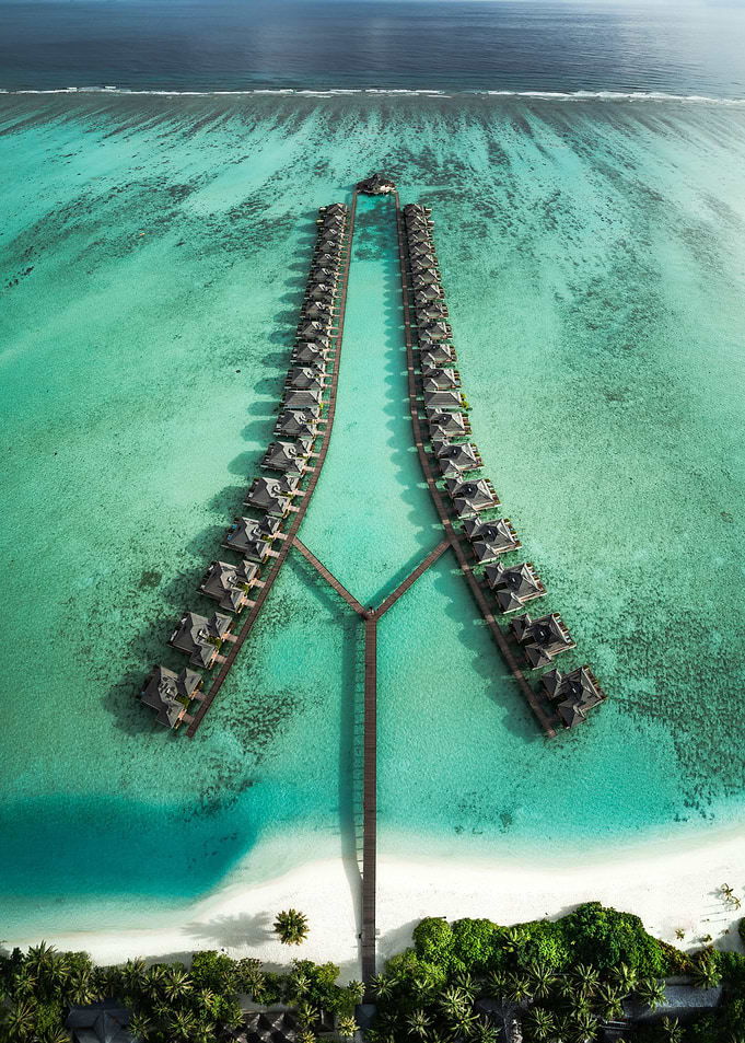 Paradise