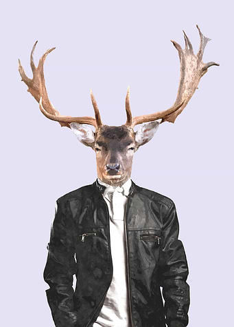 Fashionable Deer