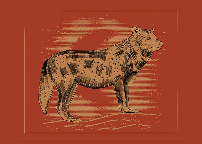 Wolf Illustration