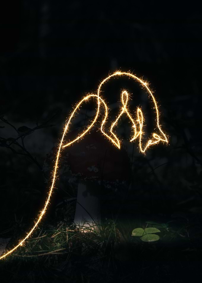 sparkling meerkat