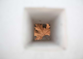 Momentary glimpse of autum