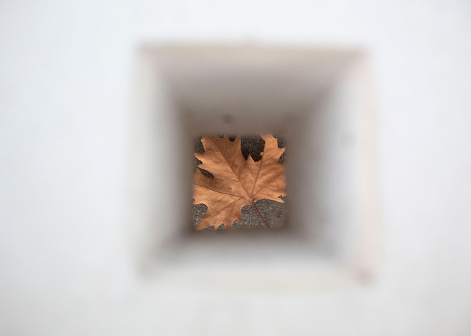 Momentary glimpse of autum