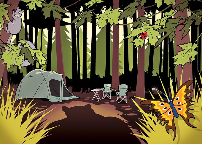 Camping In The Wild