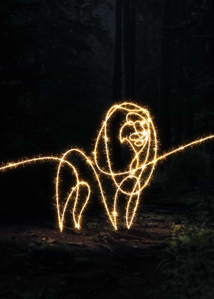 sparkling lion