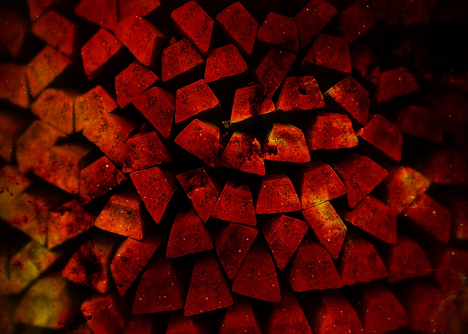 Starclusters