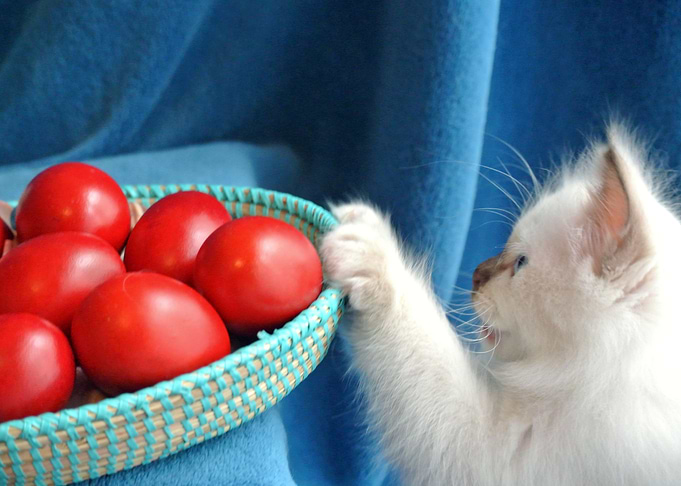 Easter hunt