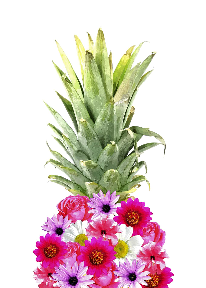 Pineapple Flowers