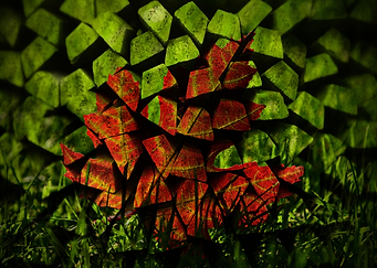 Maple Leaf