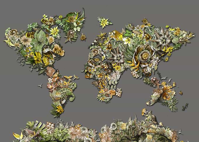 world map tropical grey