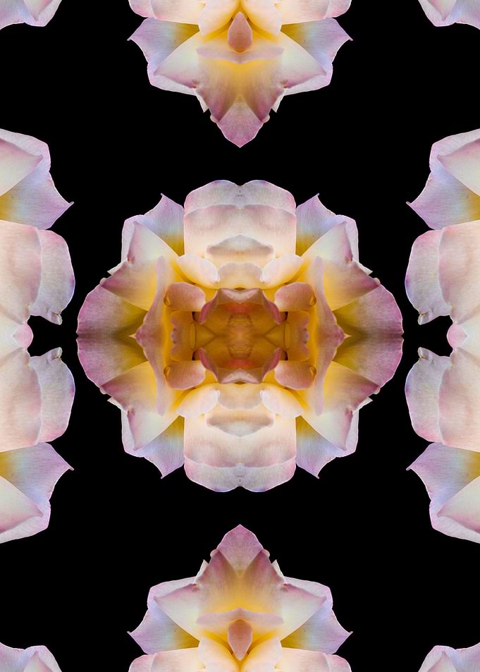 Kaleidoscopic Rose Pattern