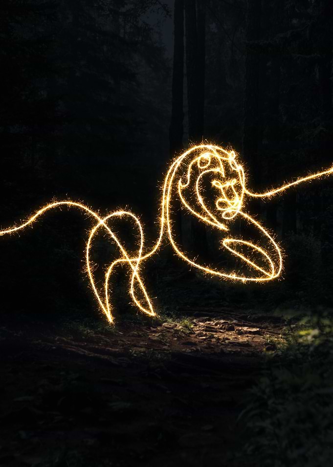 sparkling tiger