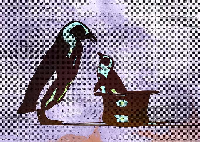 Penguin In A Hat