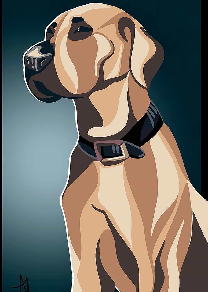 Great Dane