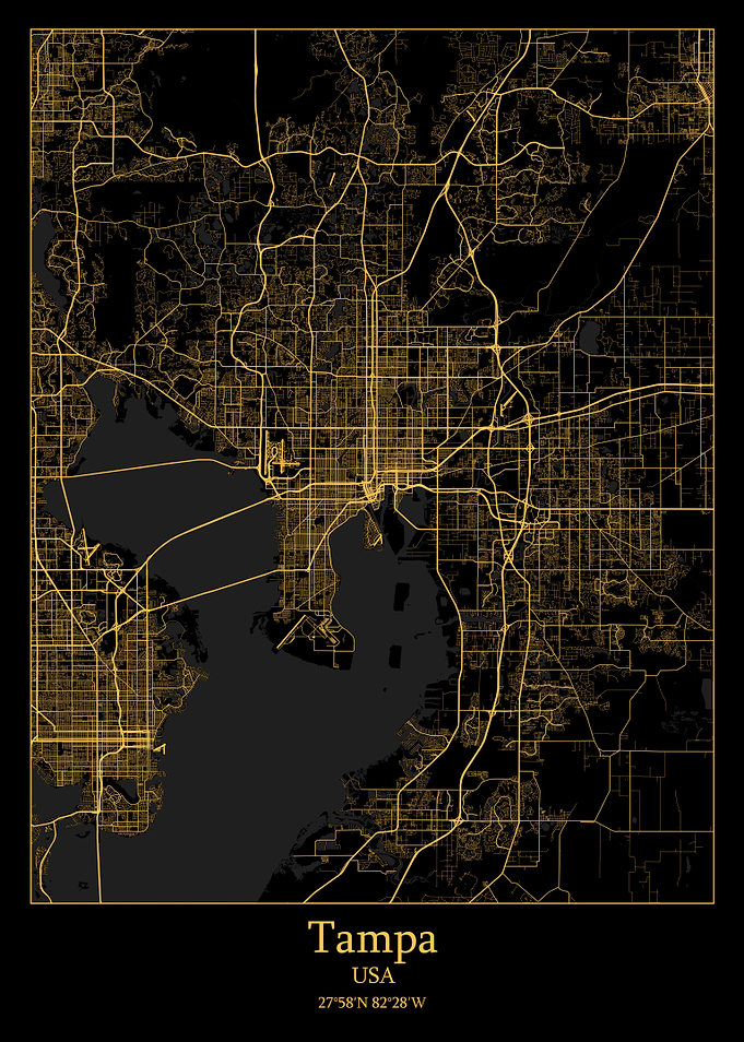 Tampa USA map