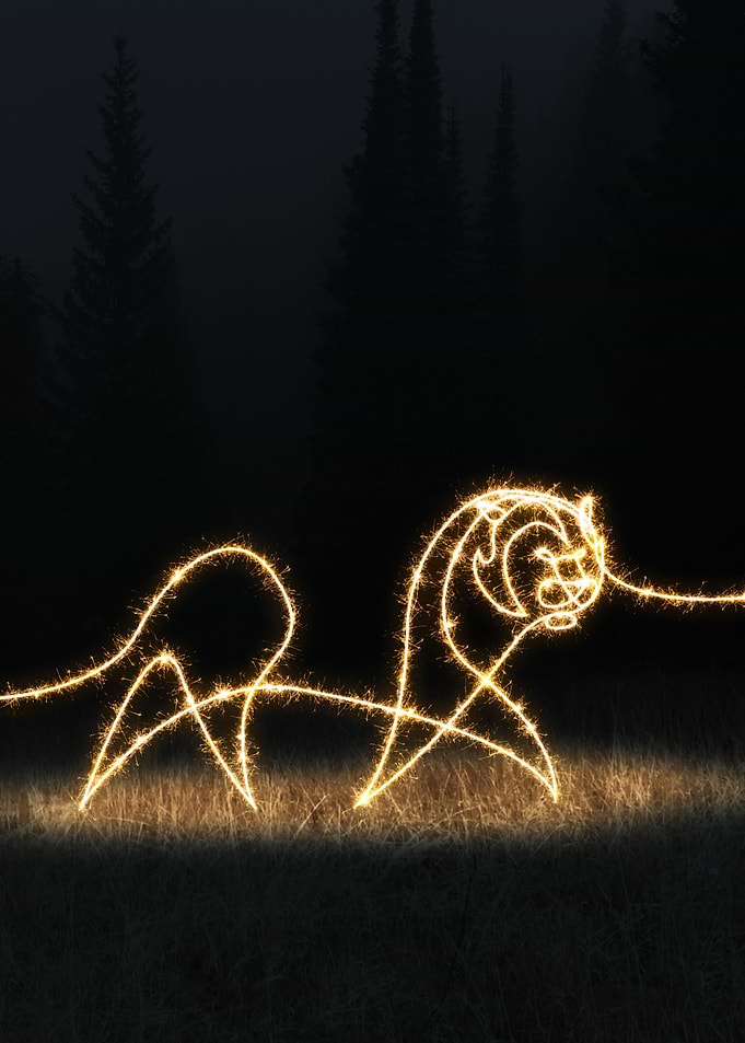 sparkling tiger