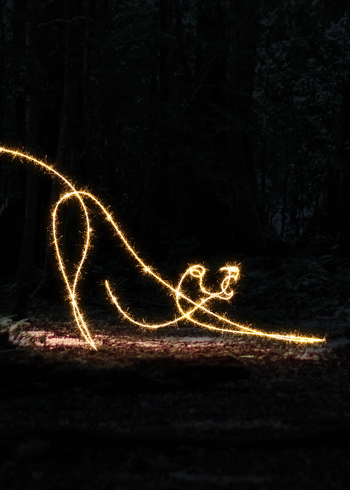 sparkling panther