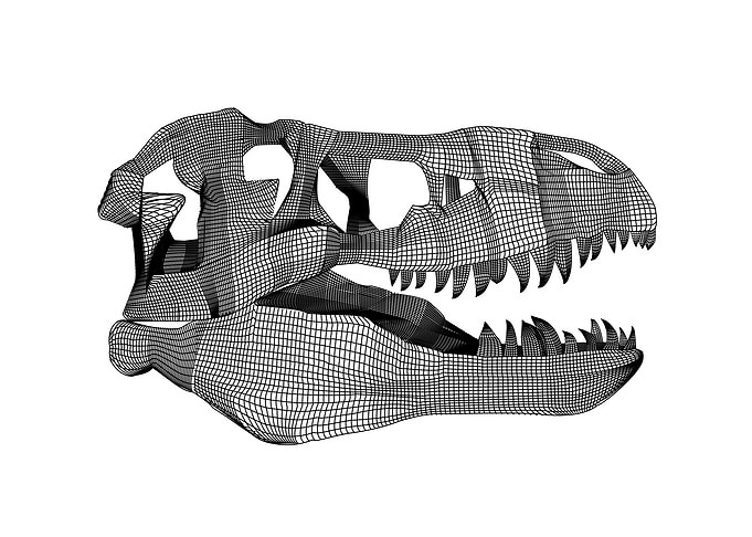 The mesh T Rex skull