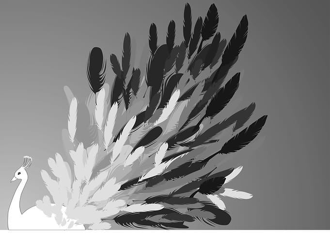 White feather