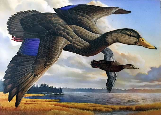 Morning Flight
