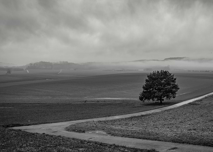 The road