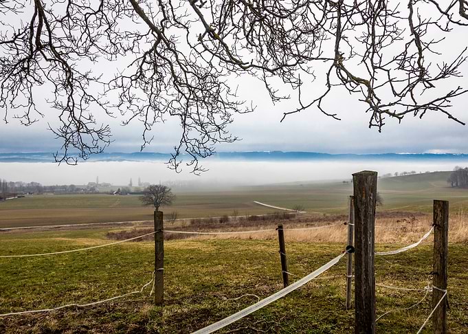 Fog