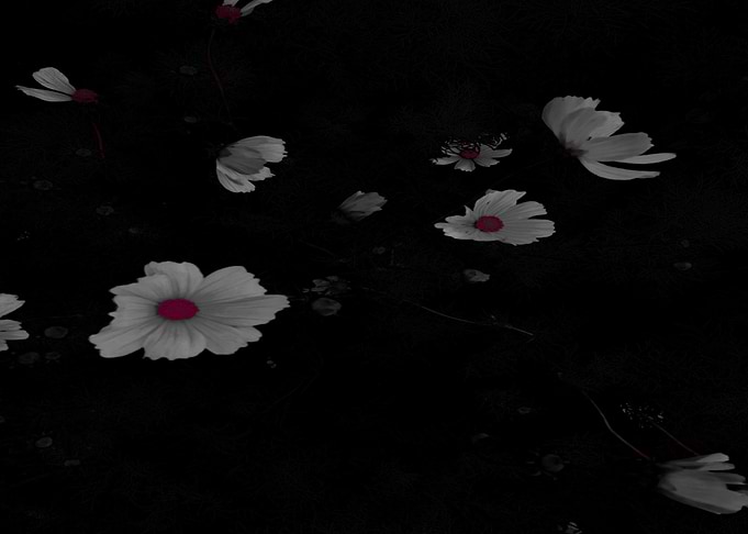 Night Spirits