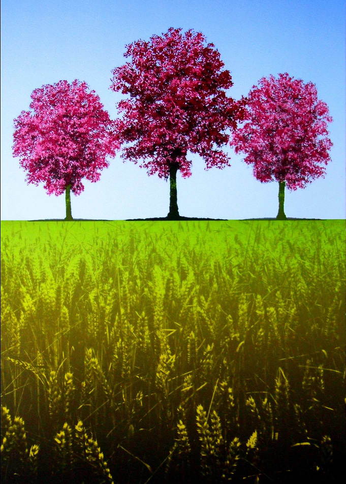 Three Oaks