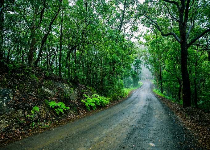 Road