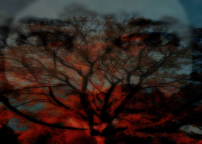 Everything is Red
