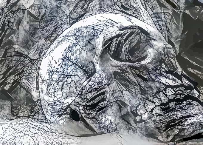Abstract Skull