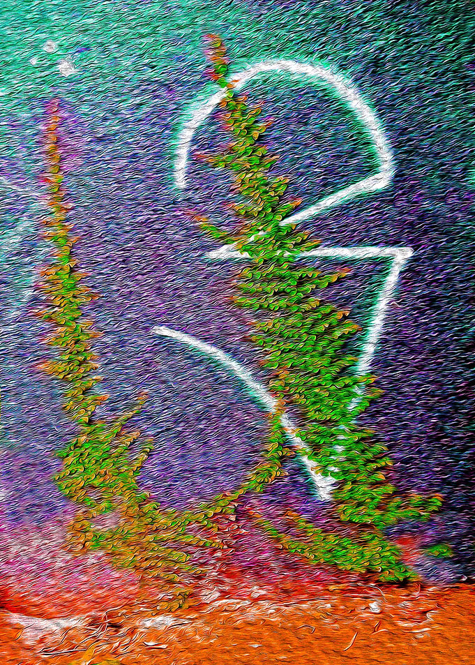 Graffiti Nature orange