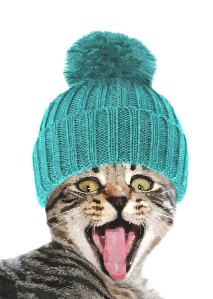 Cat with Hat Illustration