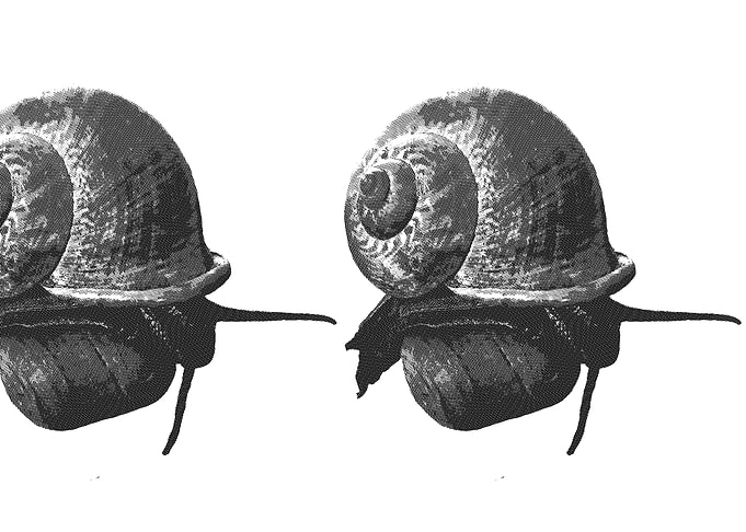 Snails