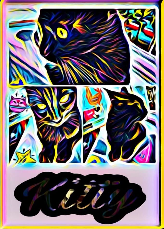 Kitty