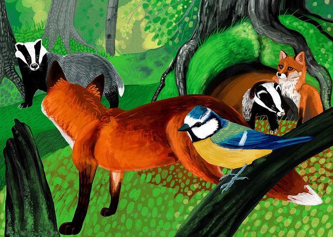 Of foxes and badgers