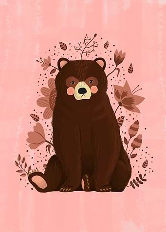 Bruno the bear