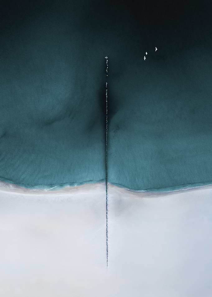 The Needle