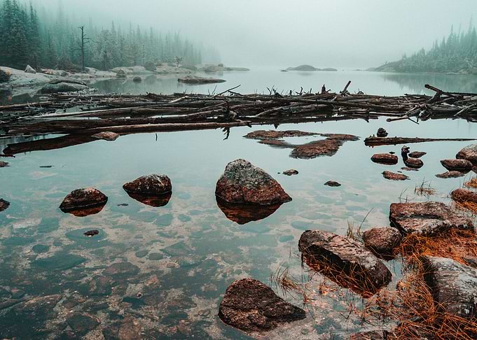 Foggy Mills Lake