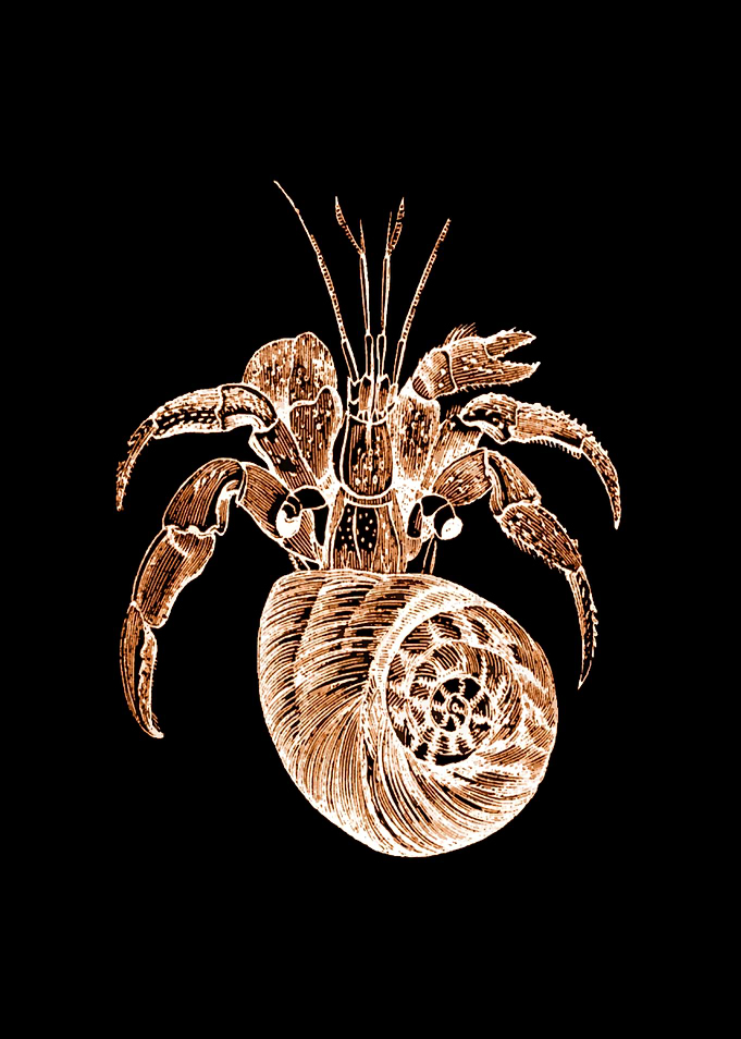 Crustacean Black