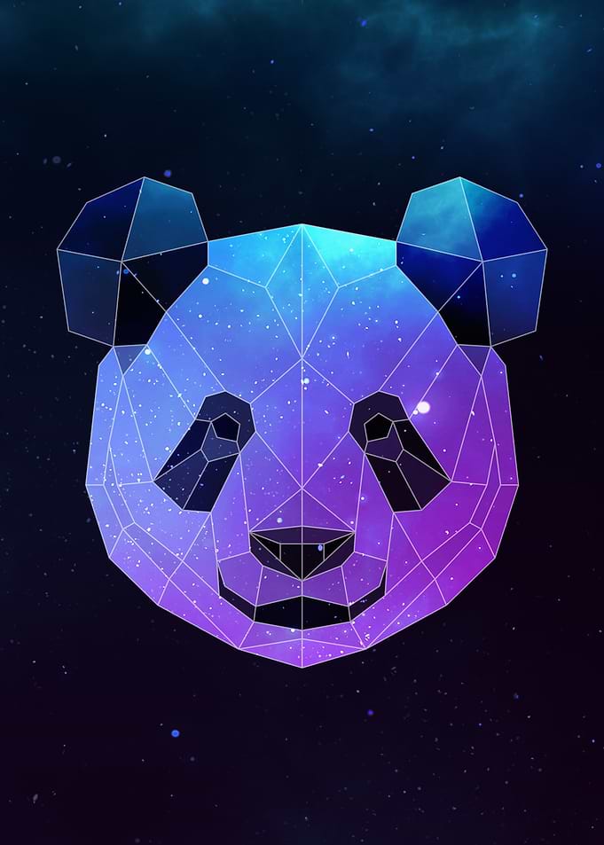 Galaxy Panda