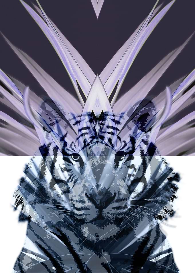 Big Cat