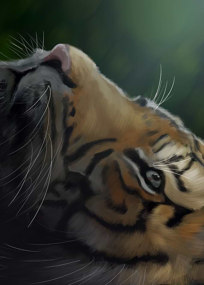 The Hunter