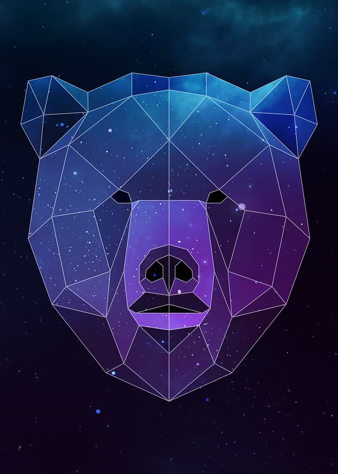Galaxy Bear